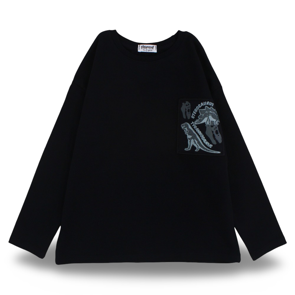 Boys Cotton T-Shirt – Black with Dinosaurs Print