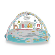Baby Gym Kick & Play Piano Gym