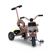 Kids 2-in-1 Tricycle with Push Handle – Salmon