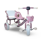 Kids Ride-On Double-Seat Tricycle – Pink