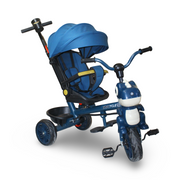 Baby 3-in-1 Tricycle with Canopy & Push Handle – Petrol