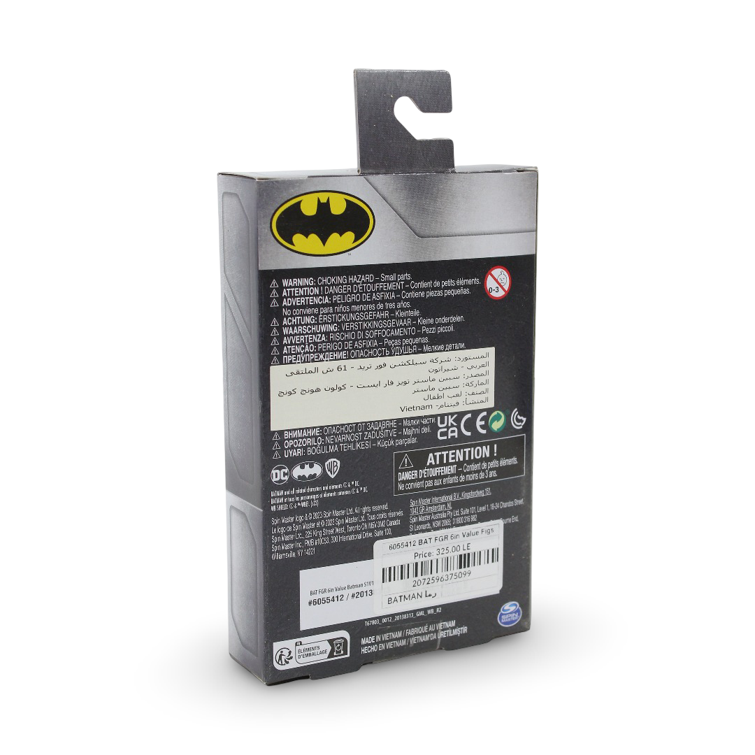 Spin Master DC Batman Rebirth Action Figure