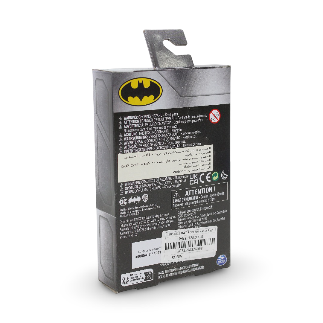 Spin Master DC Robin Action Figure