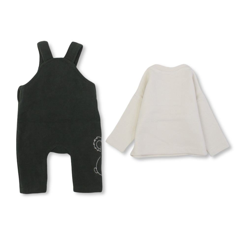Baby Boys Velvet Double Face 2-Piece Outfit Set – Dark Green with Koala Eembroidery