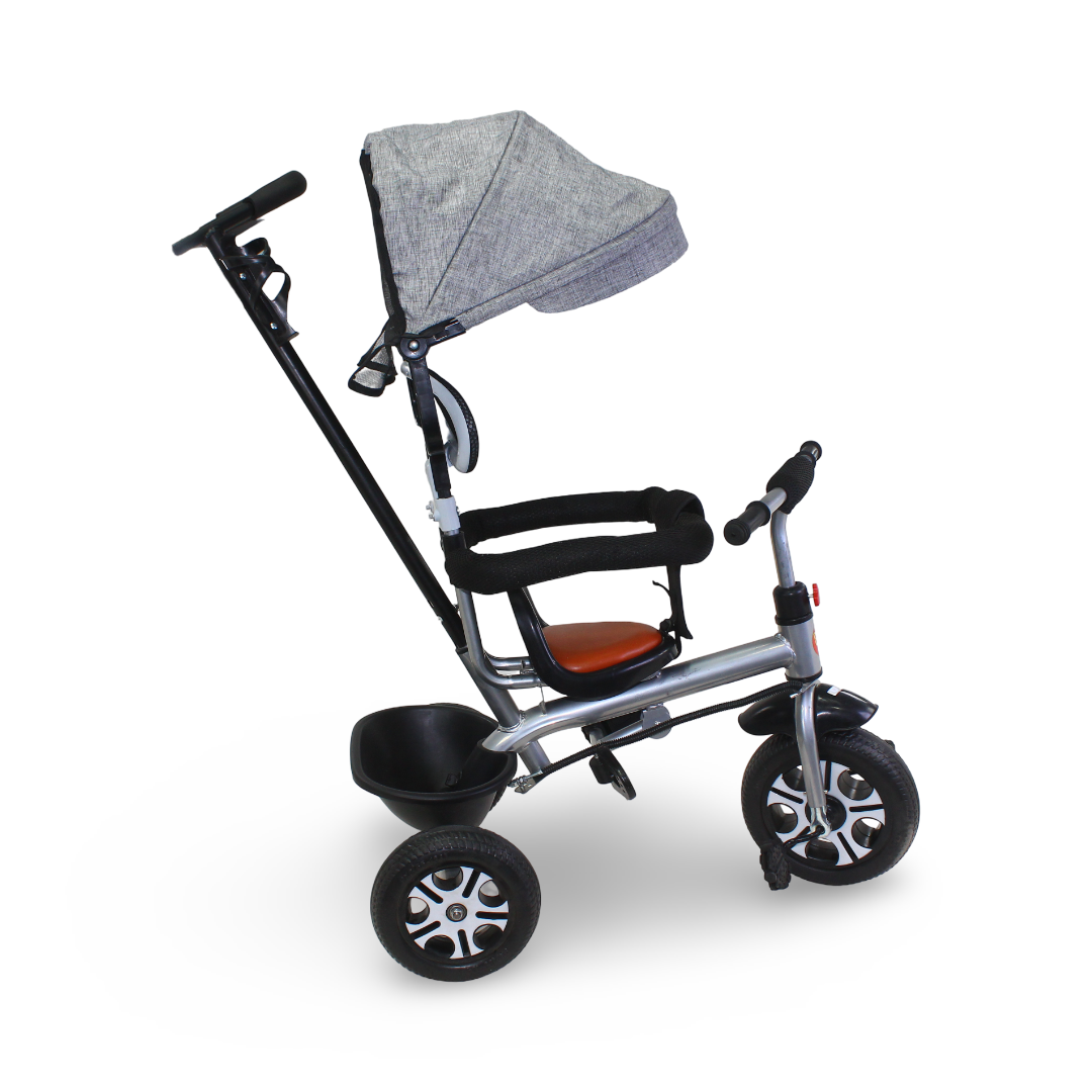 Kids Tricycle with Removable Gray Canopy & Handle
