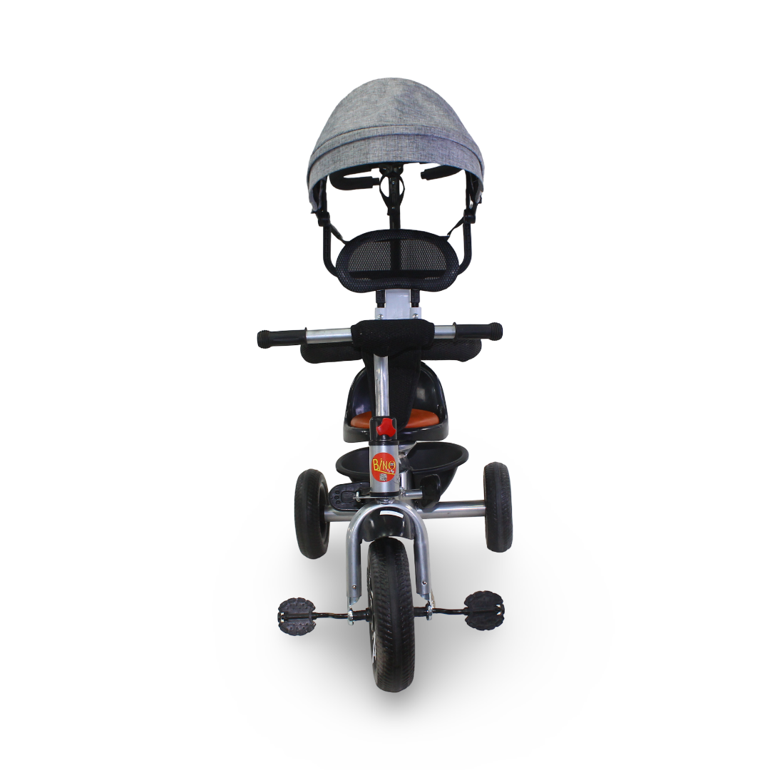 Kids Tricycle with Removable Gray Canopy & Handle