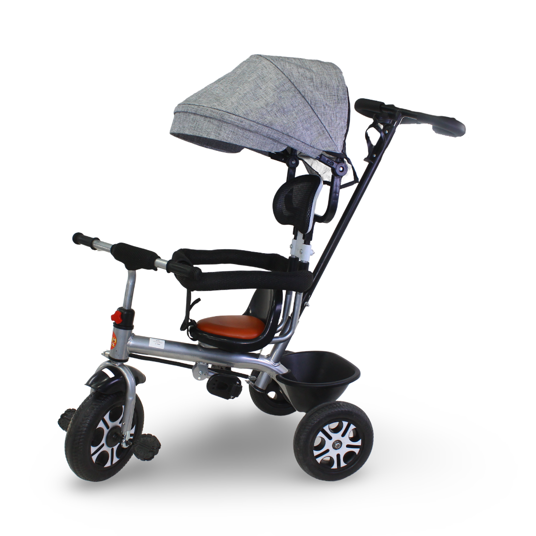 Kids Tricycle with Removable Gray Canopy & Handle