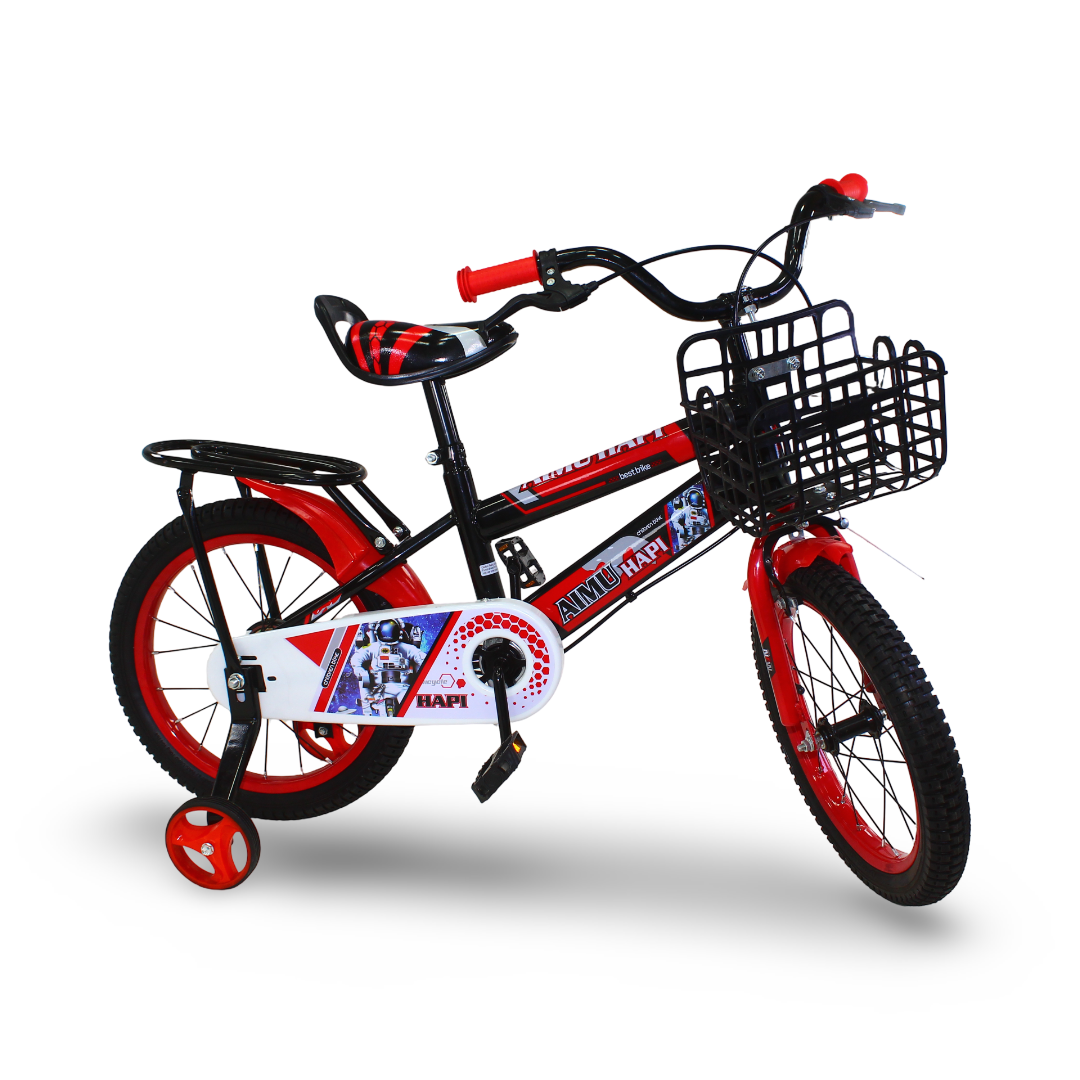 Boys Sports Bicycle 16 Inches – Model 307