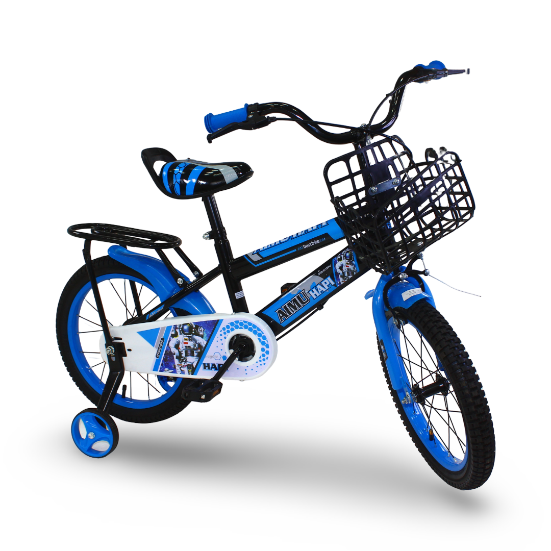 Boys Sports Bicycle 16 Inches – Model 307