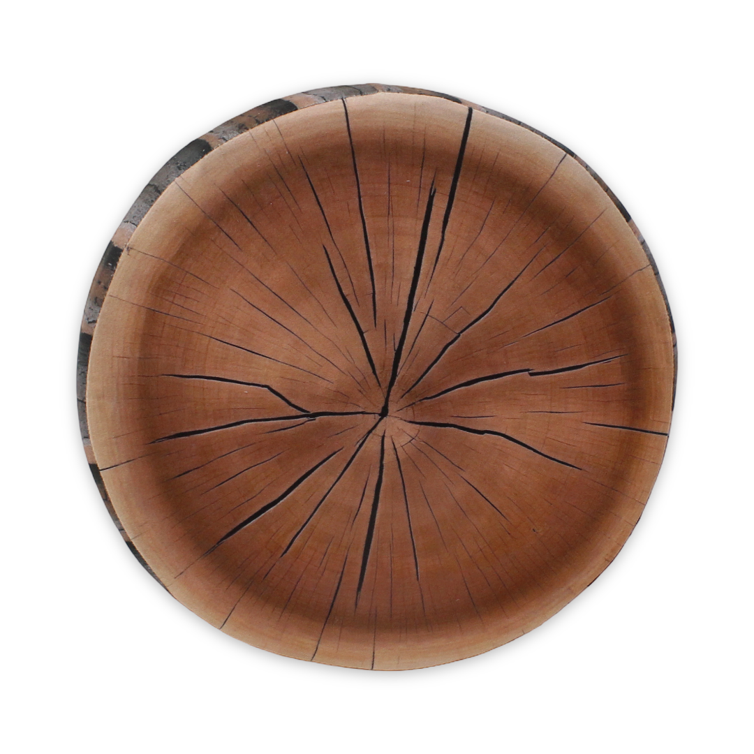 Cushion 3D – Tree Trunk