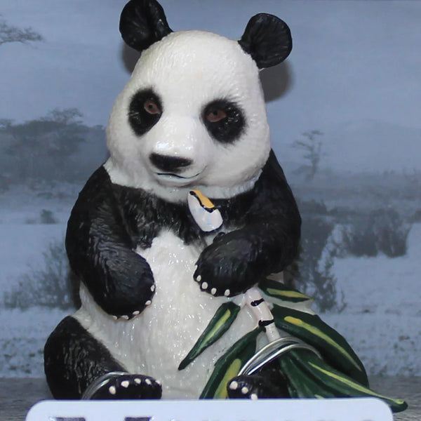 CollectA Panda Figure – 2 Shapes