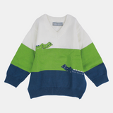 Baby Boys' Crocodile Long-Sleeved Pullover