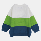 Baby Boys' Crocodile Long-Sleeved Pullover