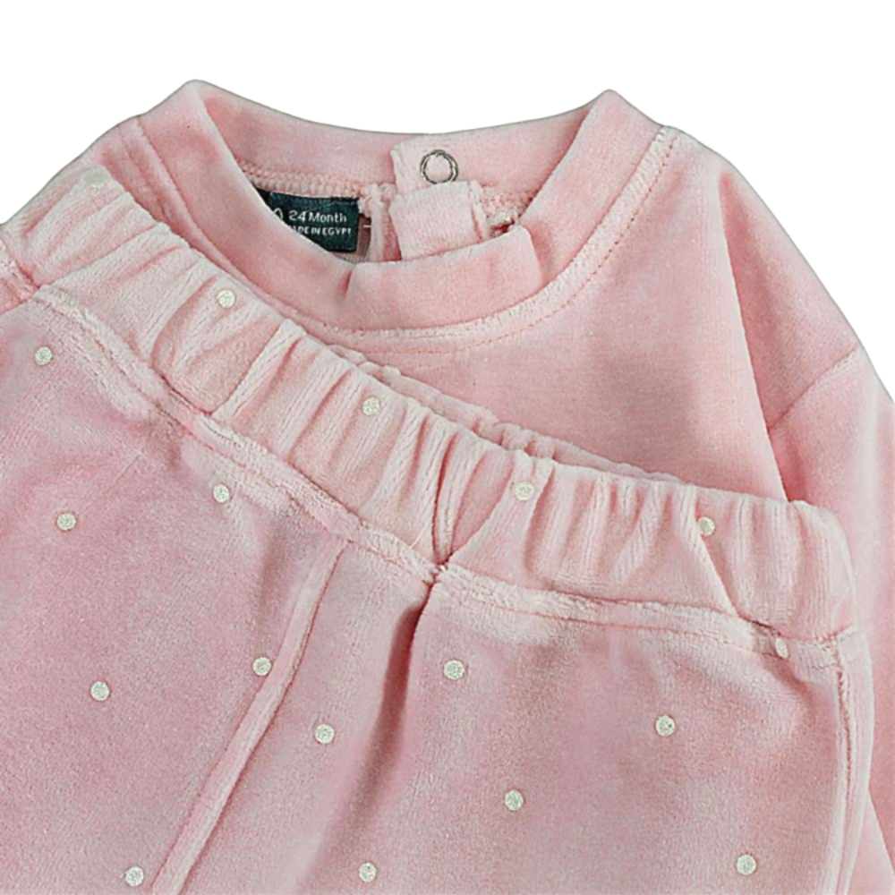 Baby Girls Velvet 2-Piece Outfit Set – Pink with Cute Poodles Design