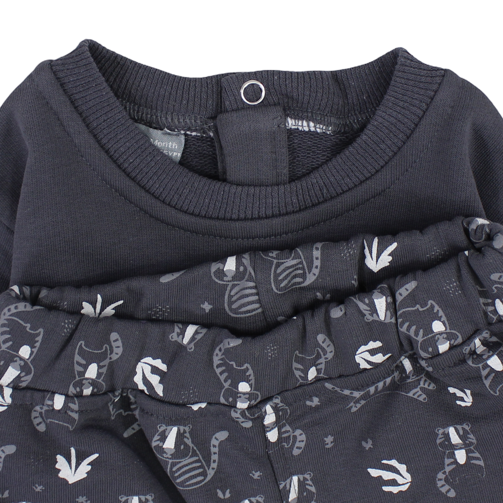 Baby Boys Cotton 2-Piece Outfit Set – Dark Grey with “ROAR!” Print