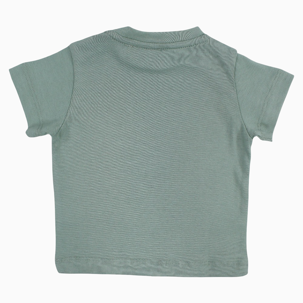 Baby Boys T-Shirt – Mint with Monkey Design
