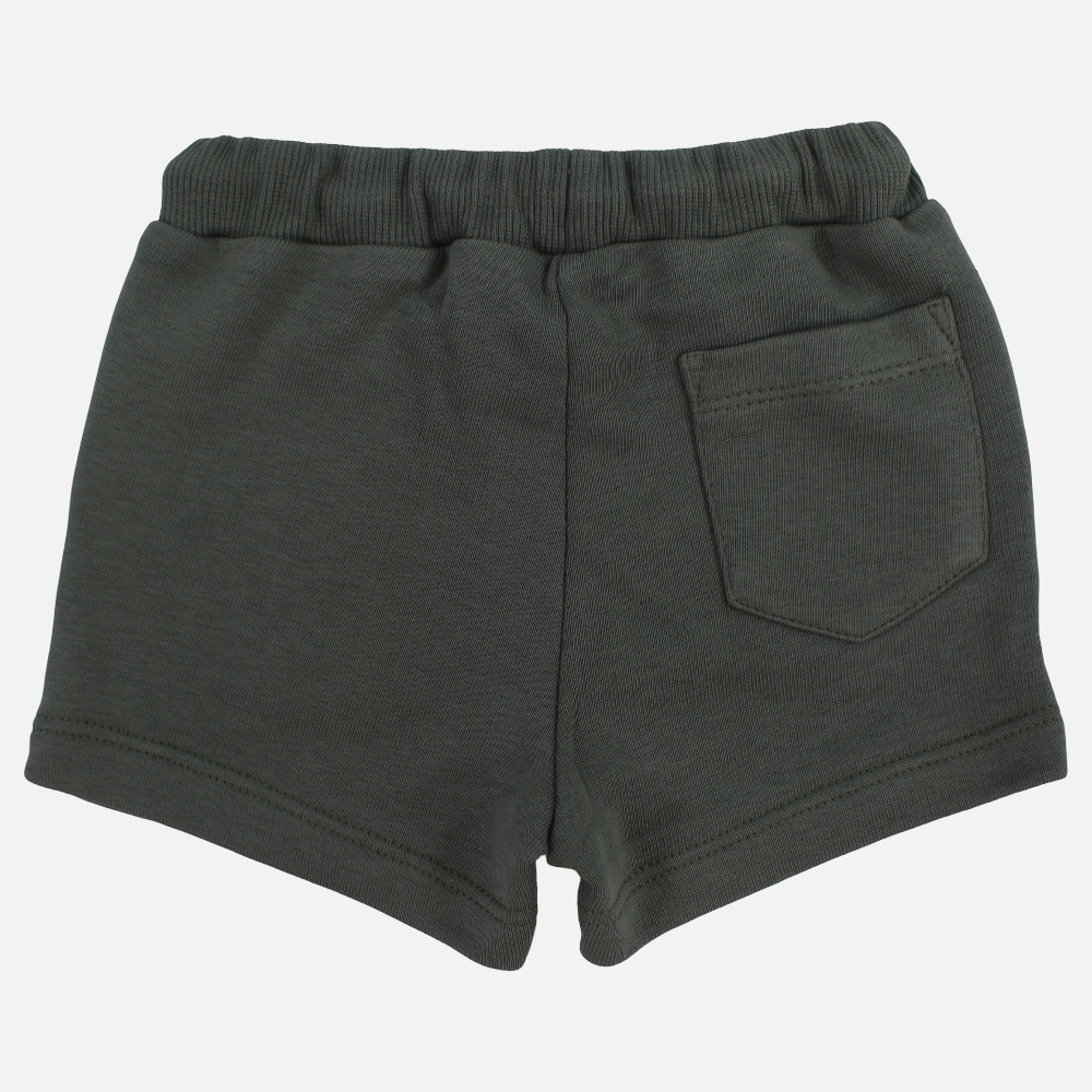 Baby Boys Shorts – Olive Green with Roaring Lion Design