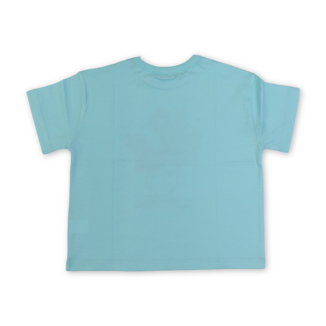 Girls Cotton T-Shirt – Aqua with Flamingo Print