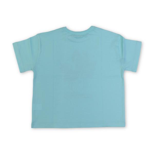 Girls Cotton T-Shirt – Aqua with Flamingo Print