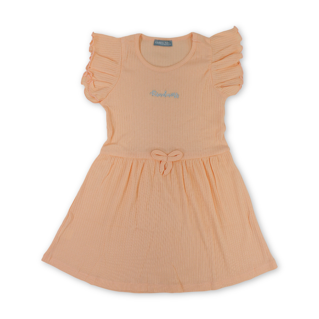 Girls Cotton Dress – Salmon with "Kindness" Embroidery - Clothing - Pompelo