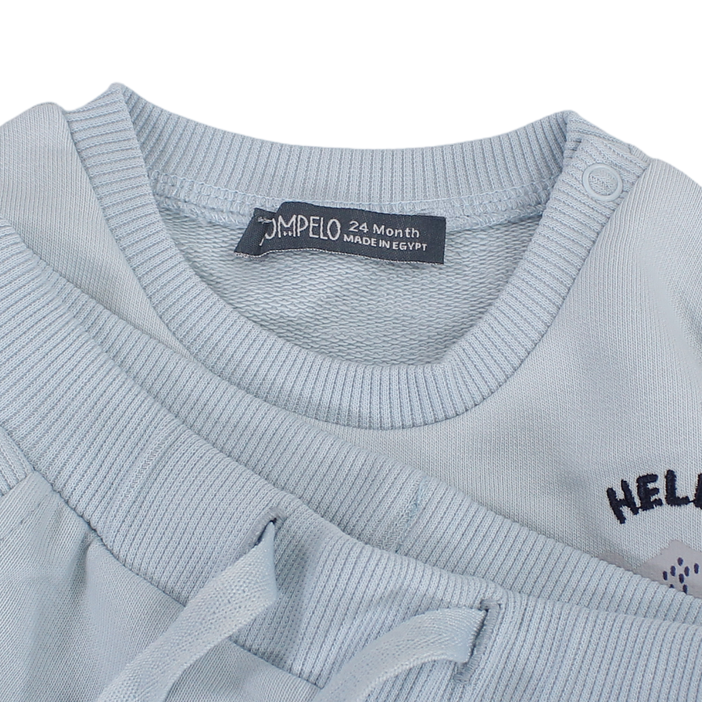 Baby Boys Cotton 2-Piece Outfit Set – Babyblue with Koala Embroidery