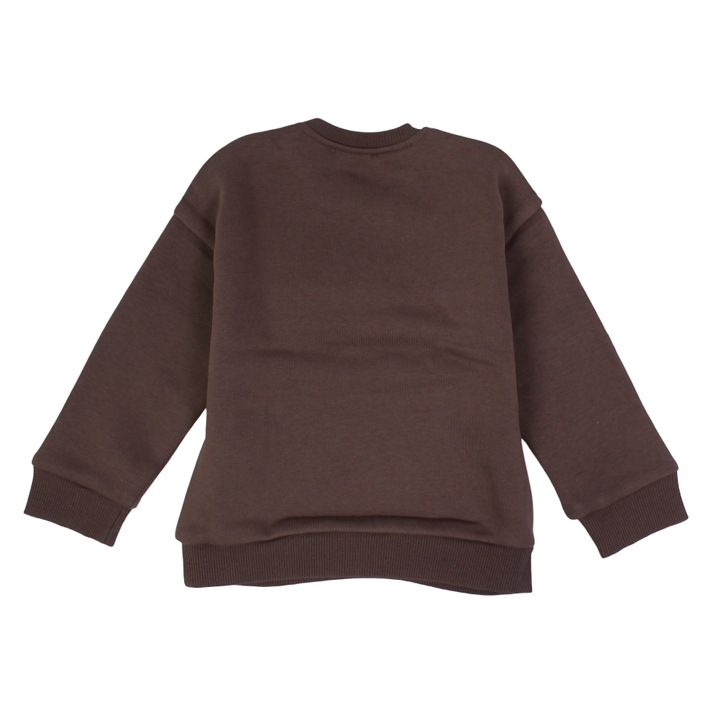 Baby Boys Cotton Sweatshirt – Brown with Bear Embroidery