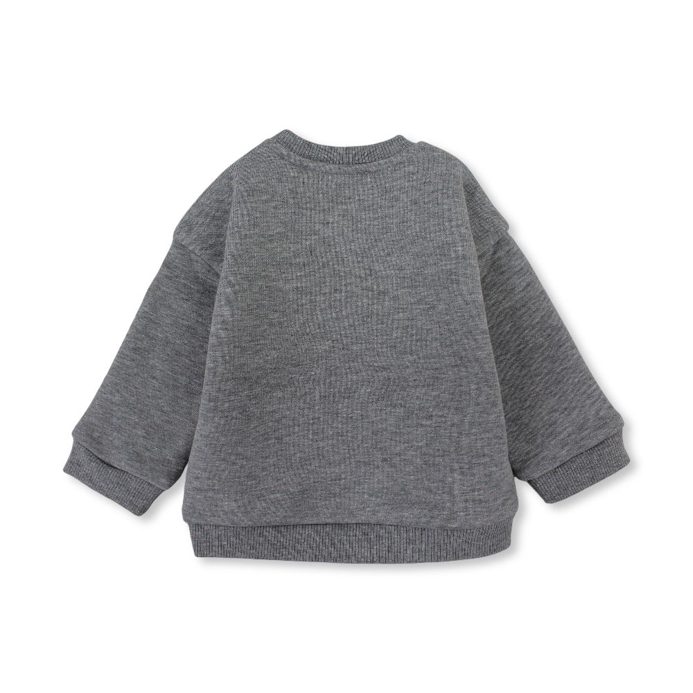 Baby Boys Cotton Sweatshirt - Grey with "Let's Dig It" Design