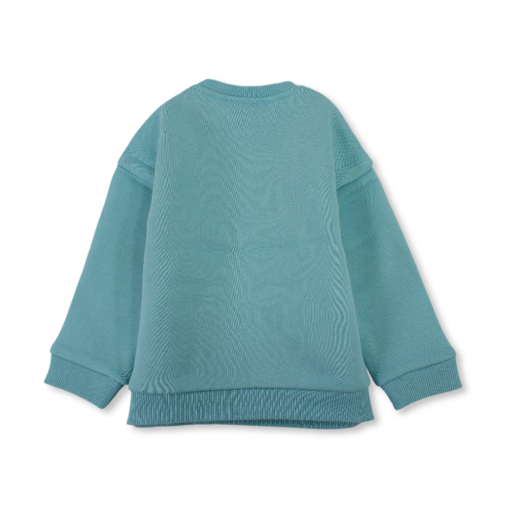 Baby Boys Cotton Sweatshirt - Aqua with "Forest Animals" Design