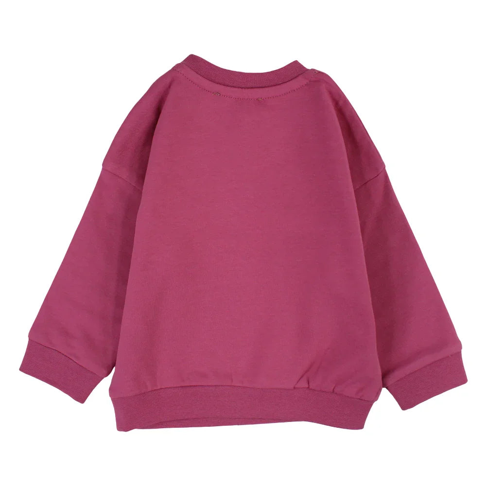 Baby Boys Cotton Sweatshirt