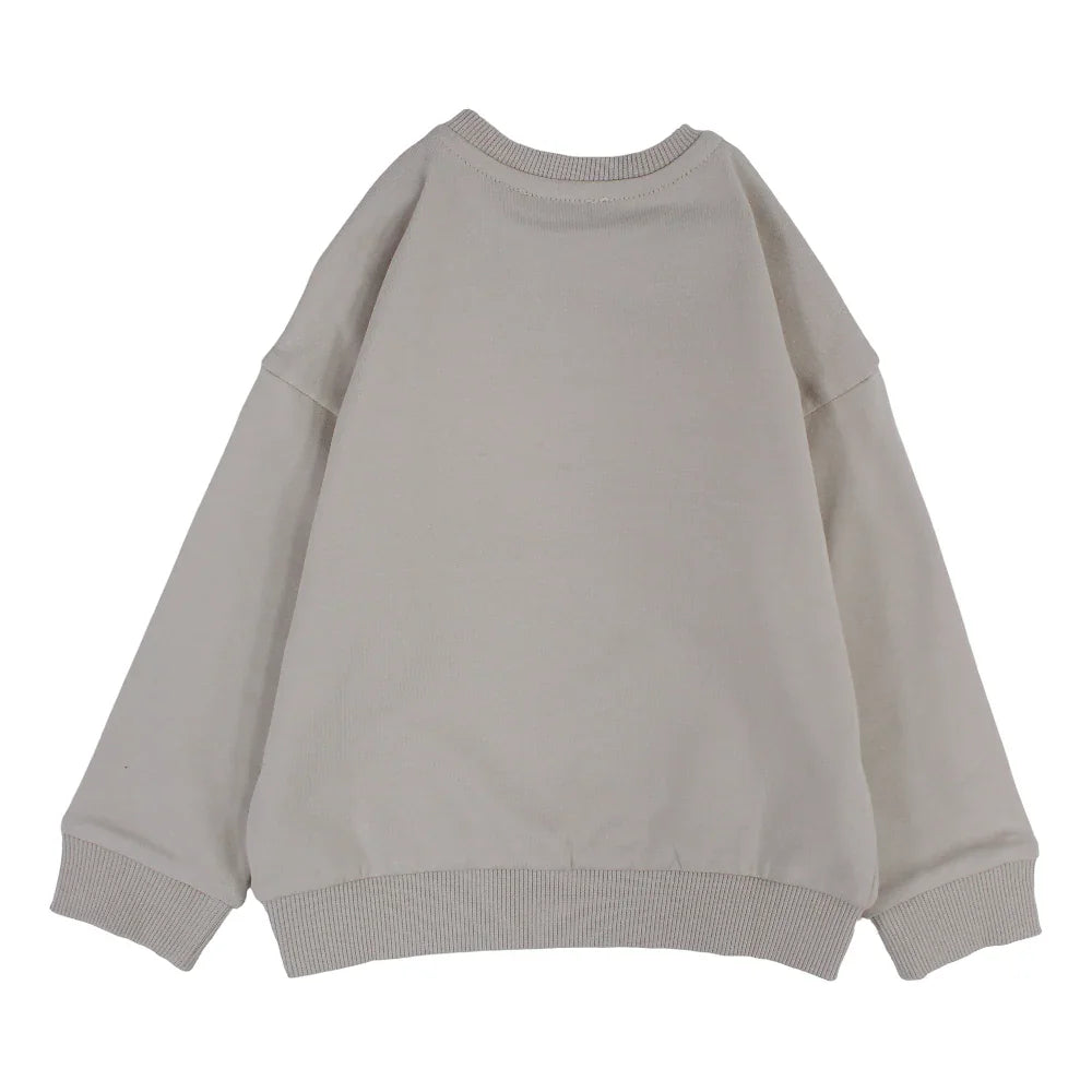 Baby Boys Cotton Sweatshirt