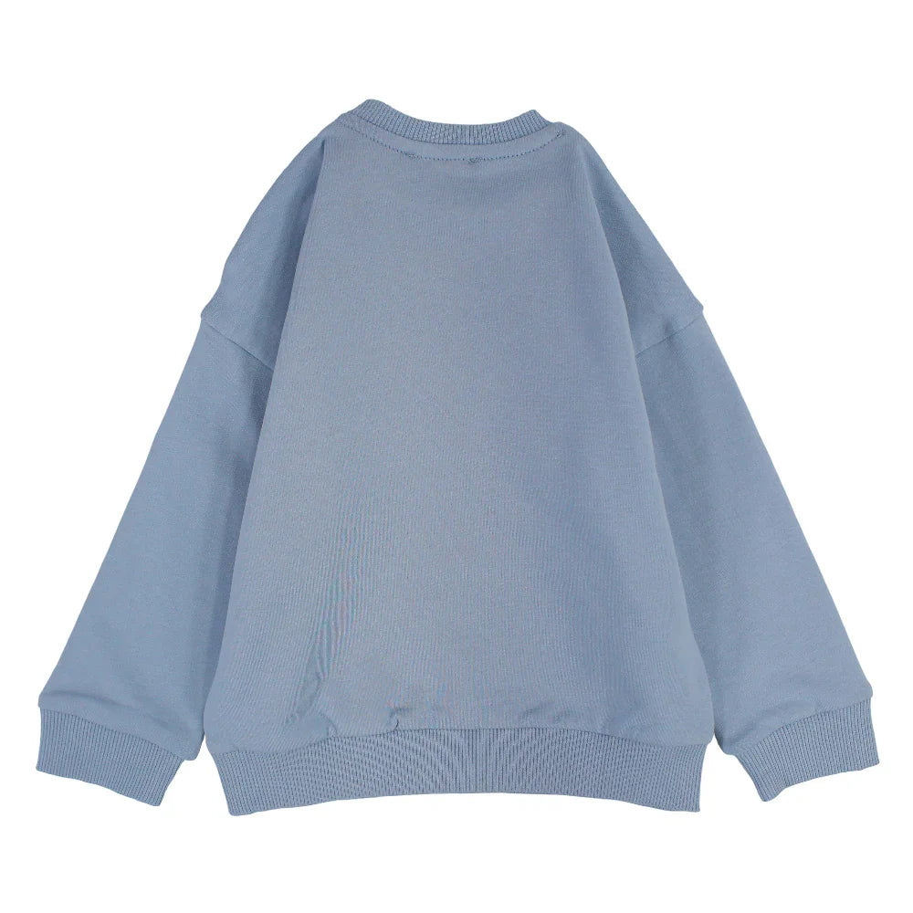 Baby Boys Cotton Sweatshirt