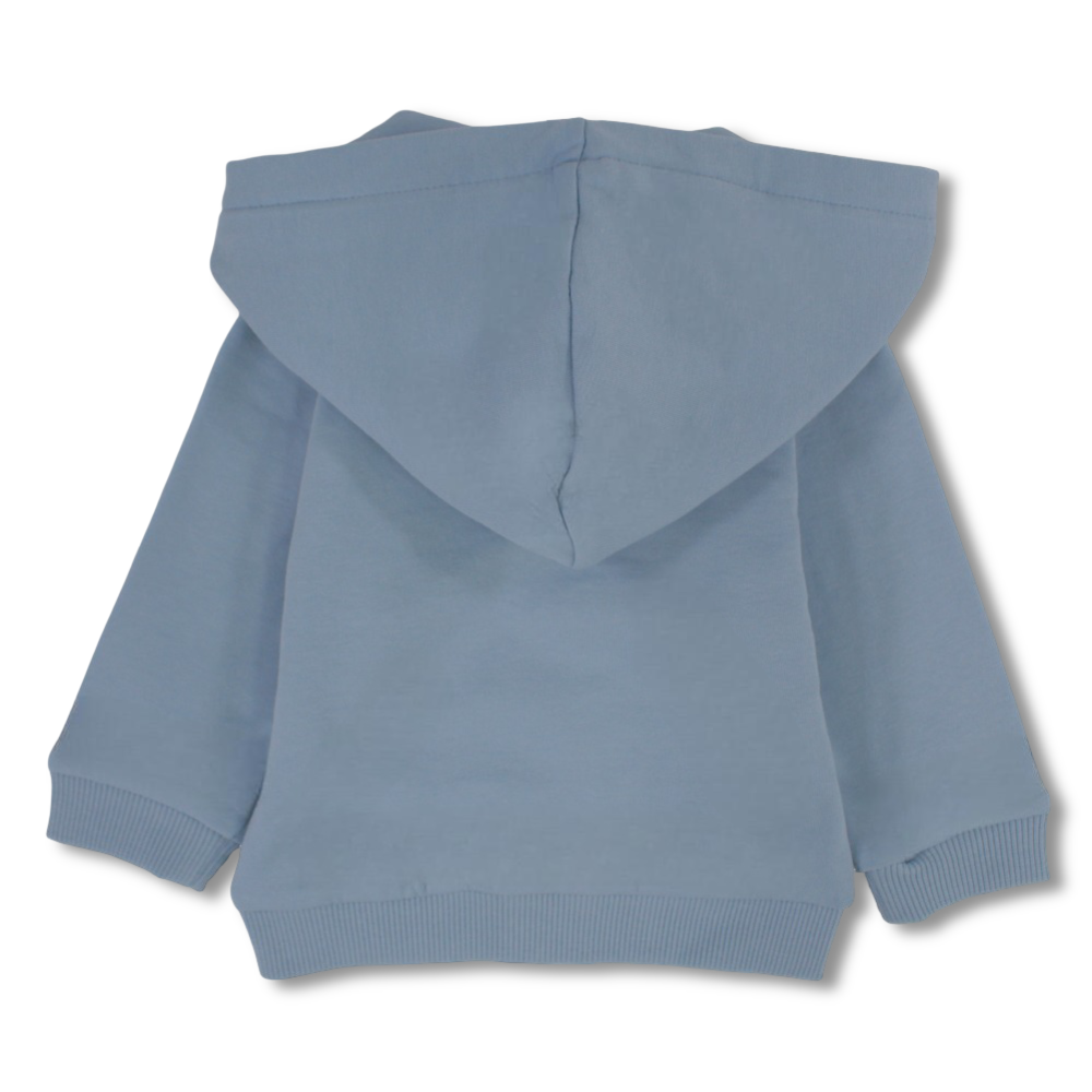 Baby Boys Cotton Hoodie – Baby Blue with “Pompelo” Design