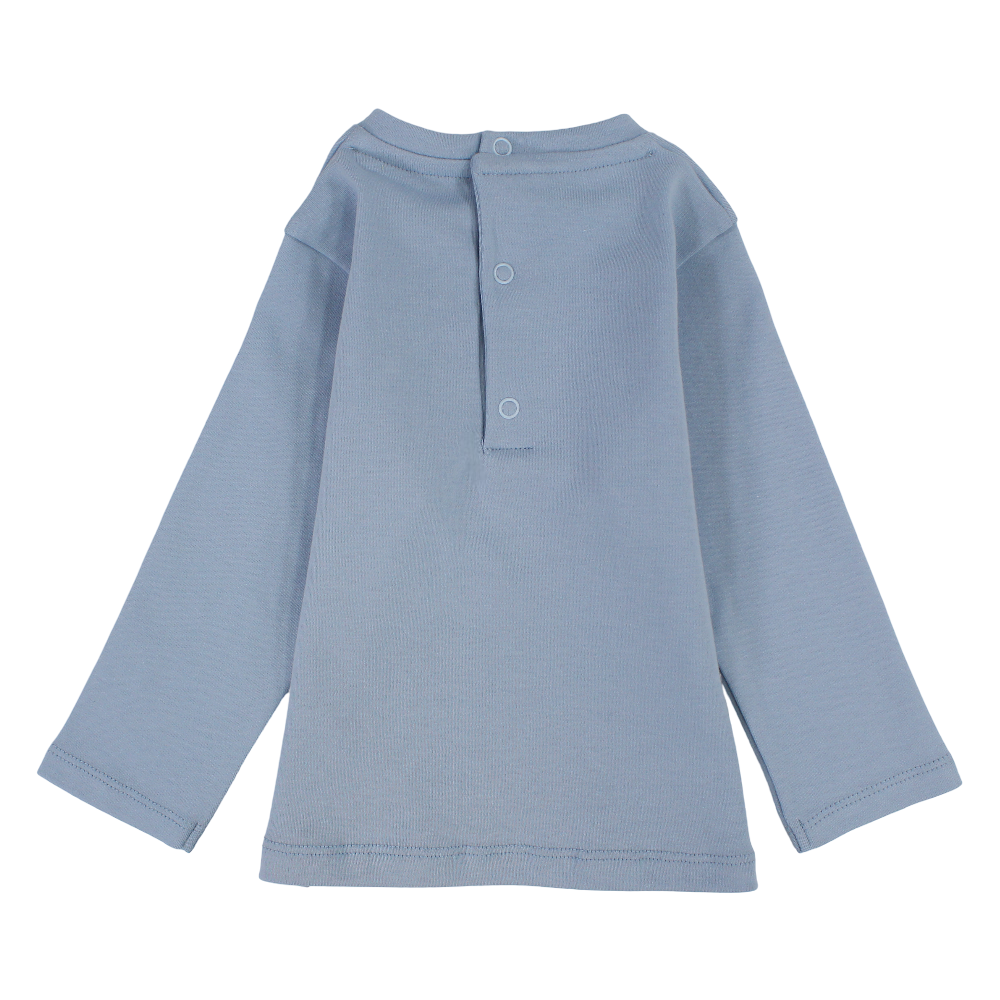 Baby Boys Cotton T-Shirt – Baby Blue with a Driving Dog Print