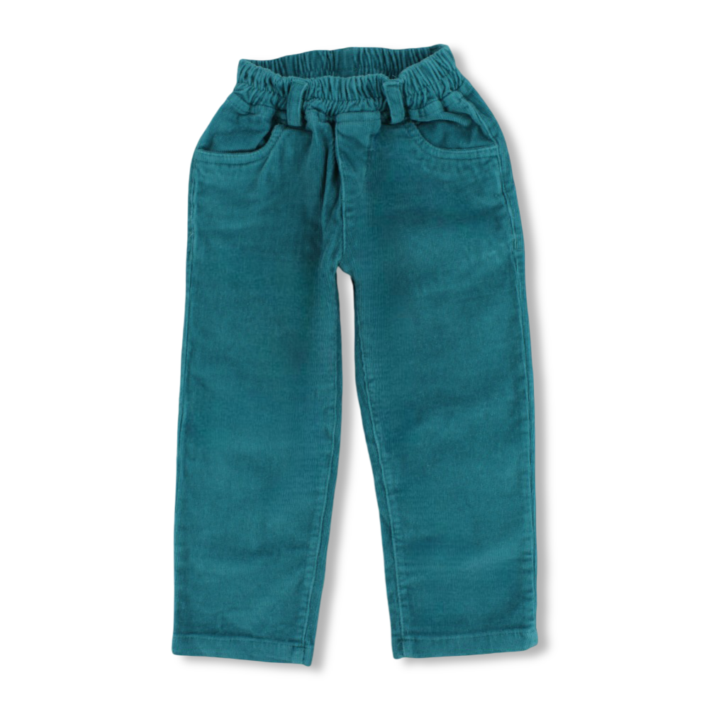 Boys Velvet Pants – Turquoise