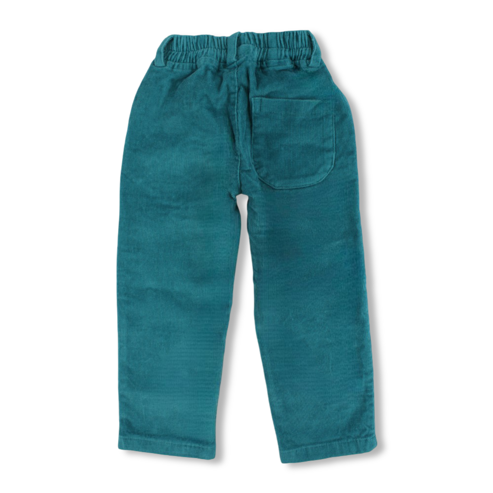 Boys Velvet Pants – Turquoise