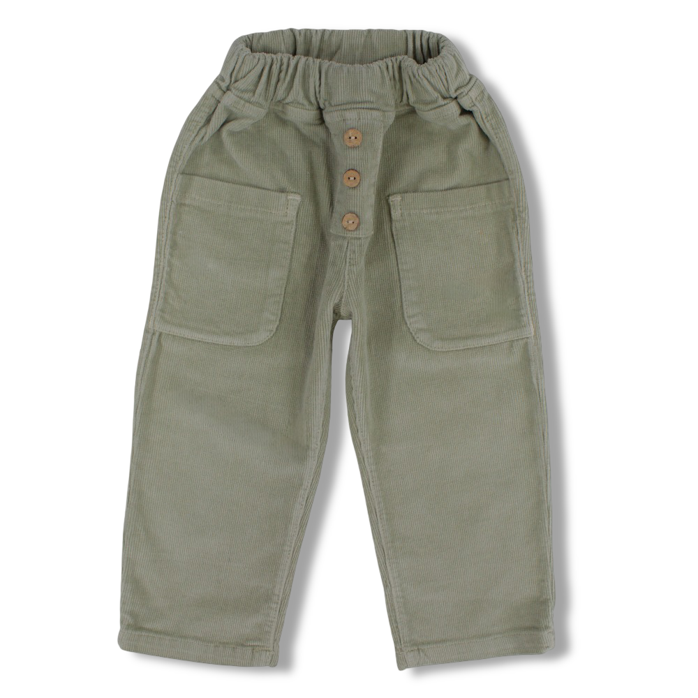 Boys Velvet Pants