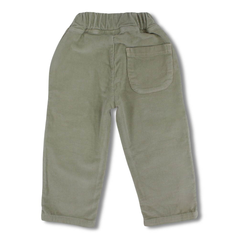 Boys Velvet Pants