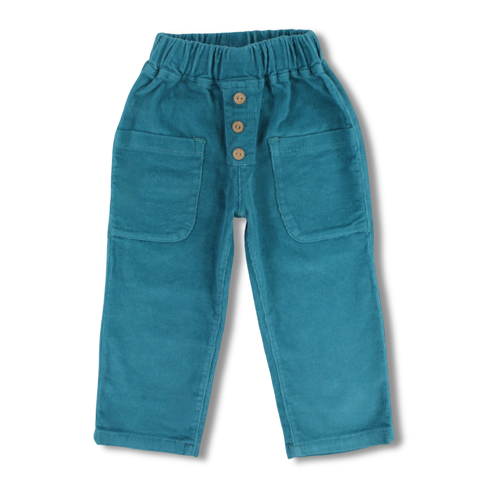 Boys Velvet Pants