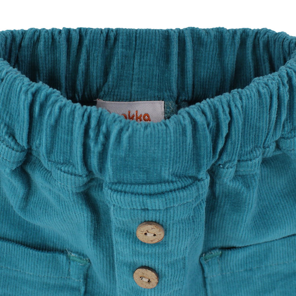 Boys Velvet Pants
