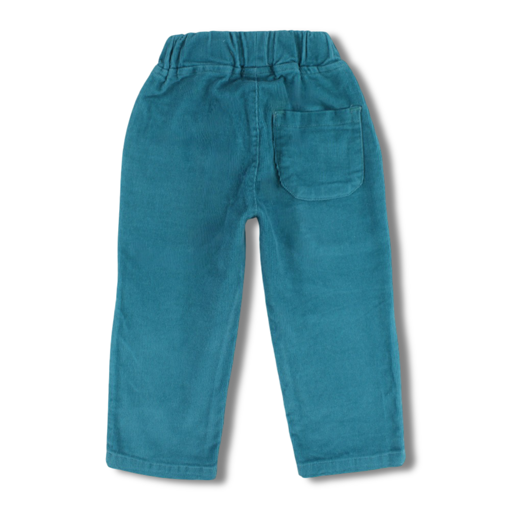 Boys Velvet Pants