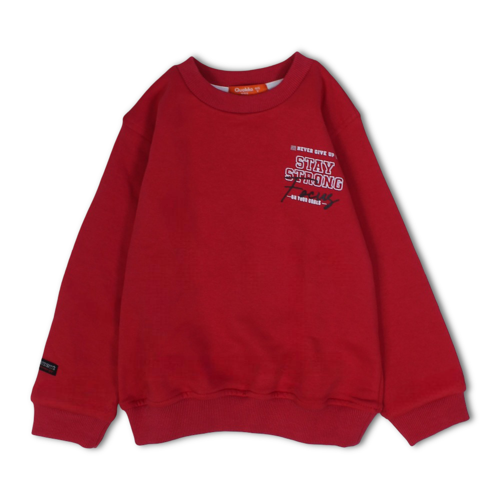 Boys Cotton Sweatshirt - Football Champions Print