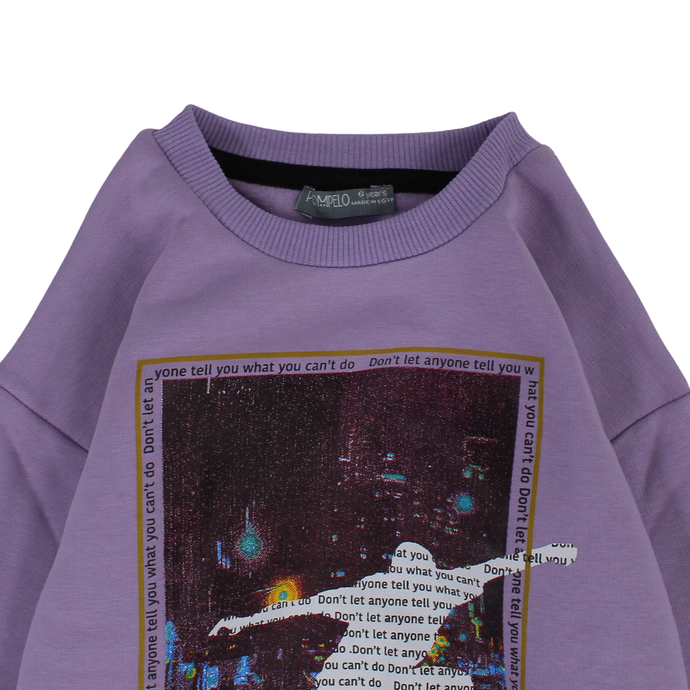 Boys Cotton Sweatshirt - Purple with Skater Graphic