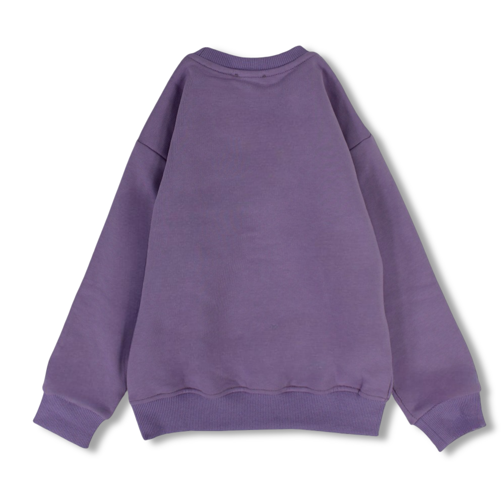 Boys Cotton Sweatshirt - Purple with Skater Graphic