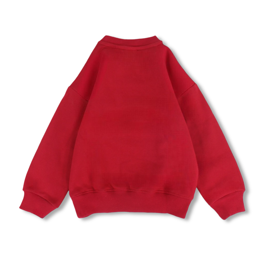 Boys Cotton Long Sleeved Sweatshirt – Red with Tigers Design