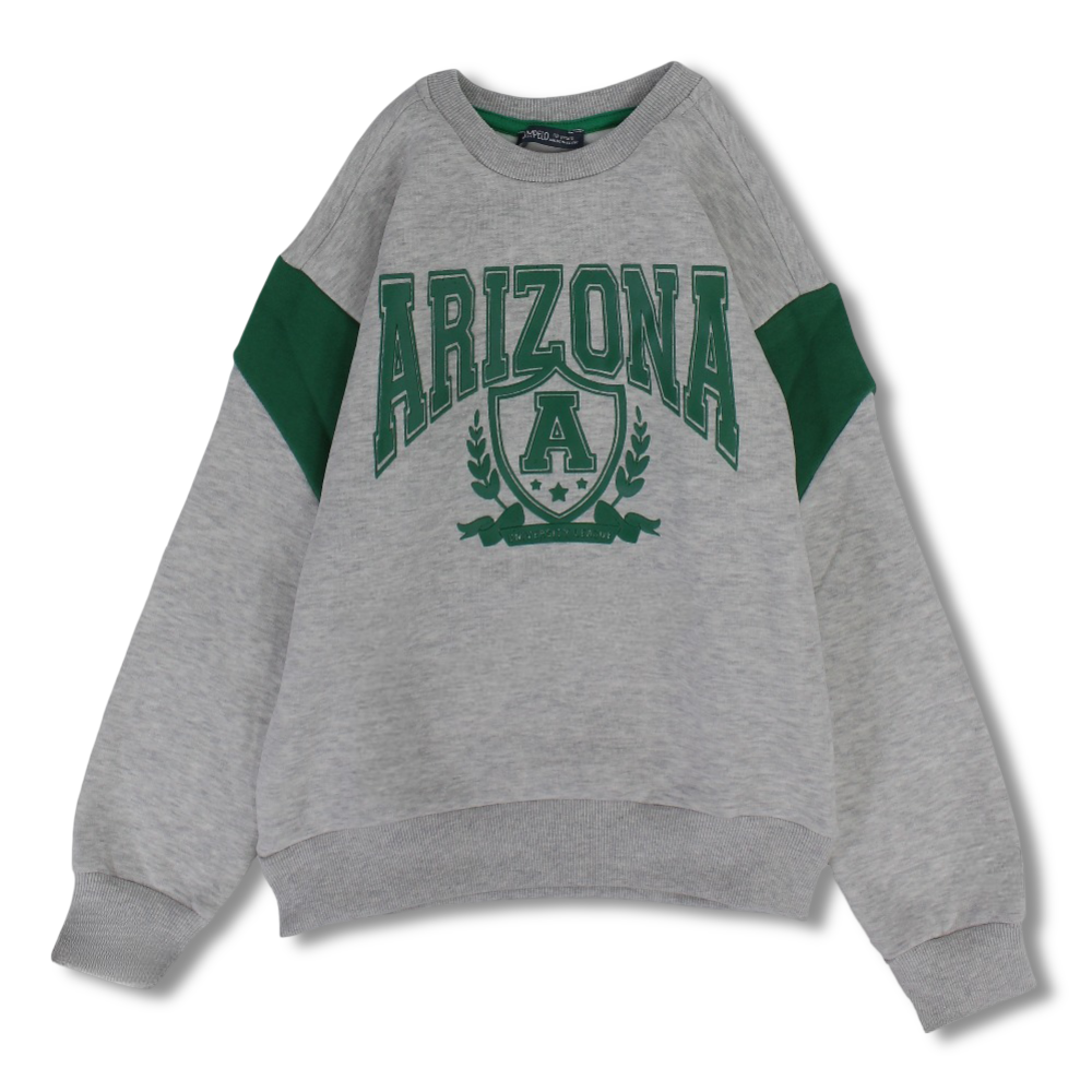 Boys Cotton Sweatshirt - Grey with Arizona Print