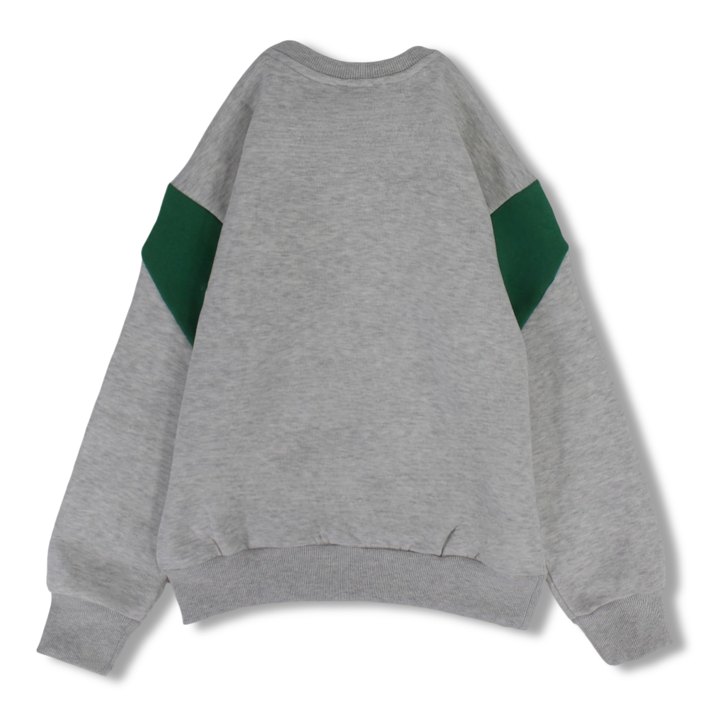 Boys Cotton Sweatshirt - Grey with Arizona Print