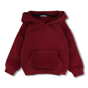 Boys Cotton Hoodie - Maroon with Environment Print