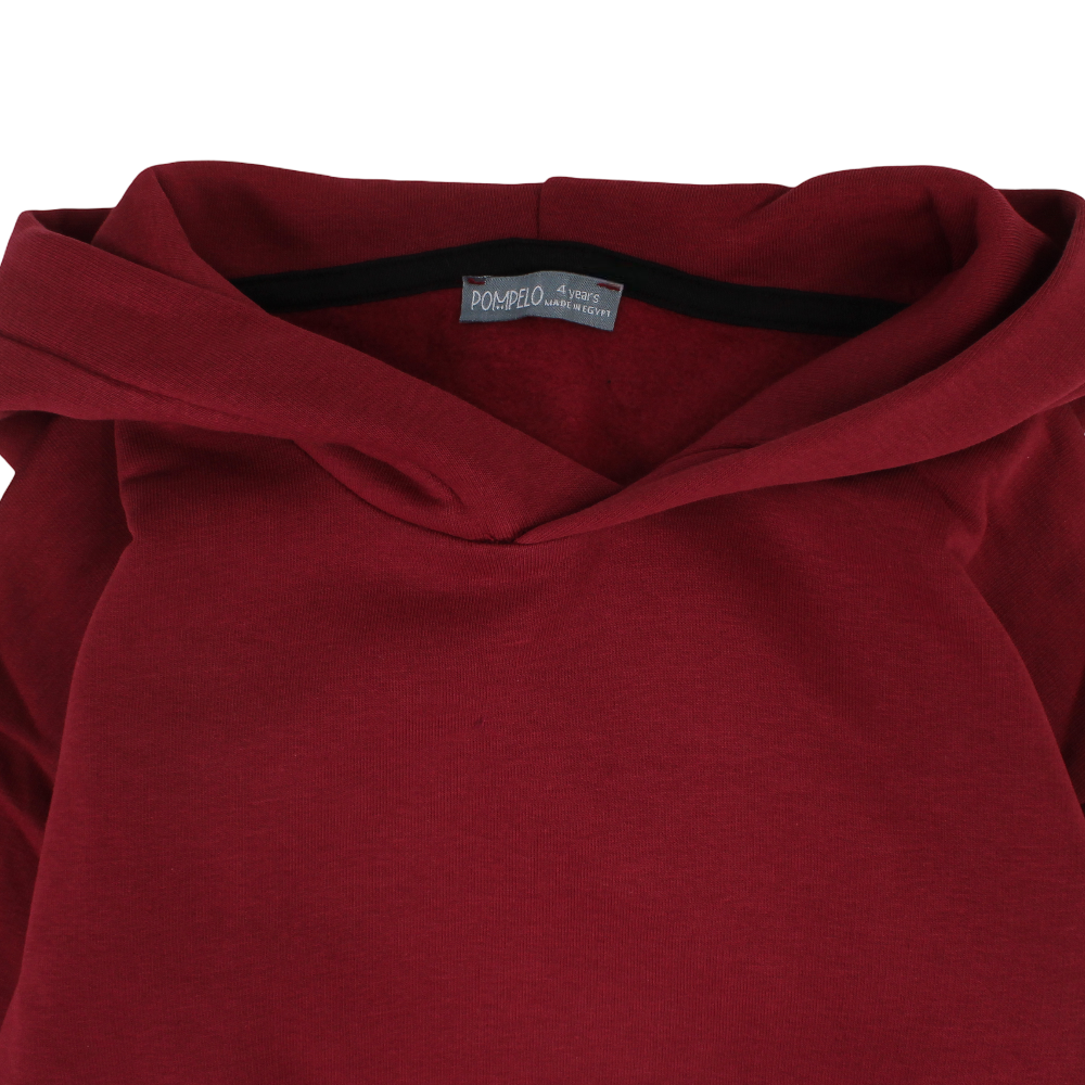 Boys Cotton Hoodie - Maroon with Environment Print