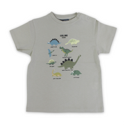 Baby Boys Cotton T-Shirt – Pistachio with Dinosaurs Print