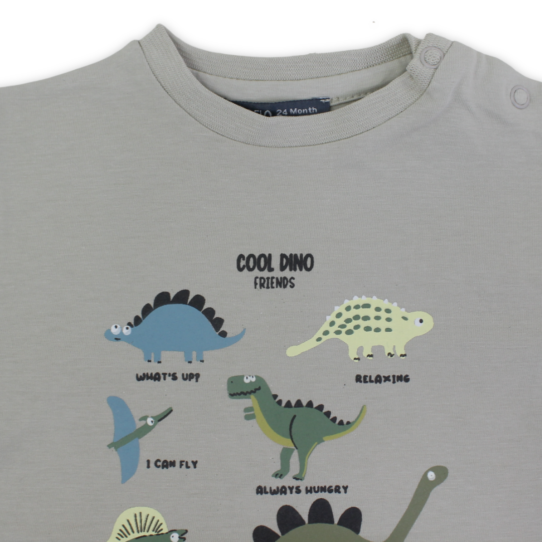 Baby Boys Cotton T-Shirt – Pistachio with Dinosaurs Print